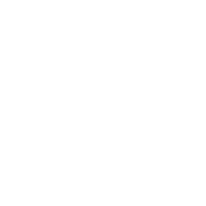 WordPress-logotype-wmark-white WordPress-logotype-wmark-white
