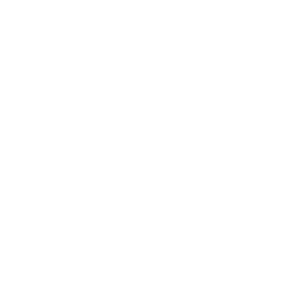 WordPress-logotype-wmark-white