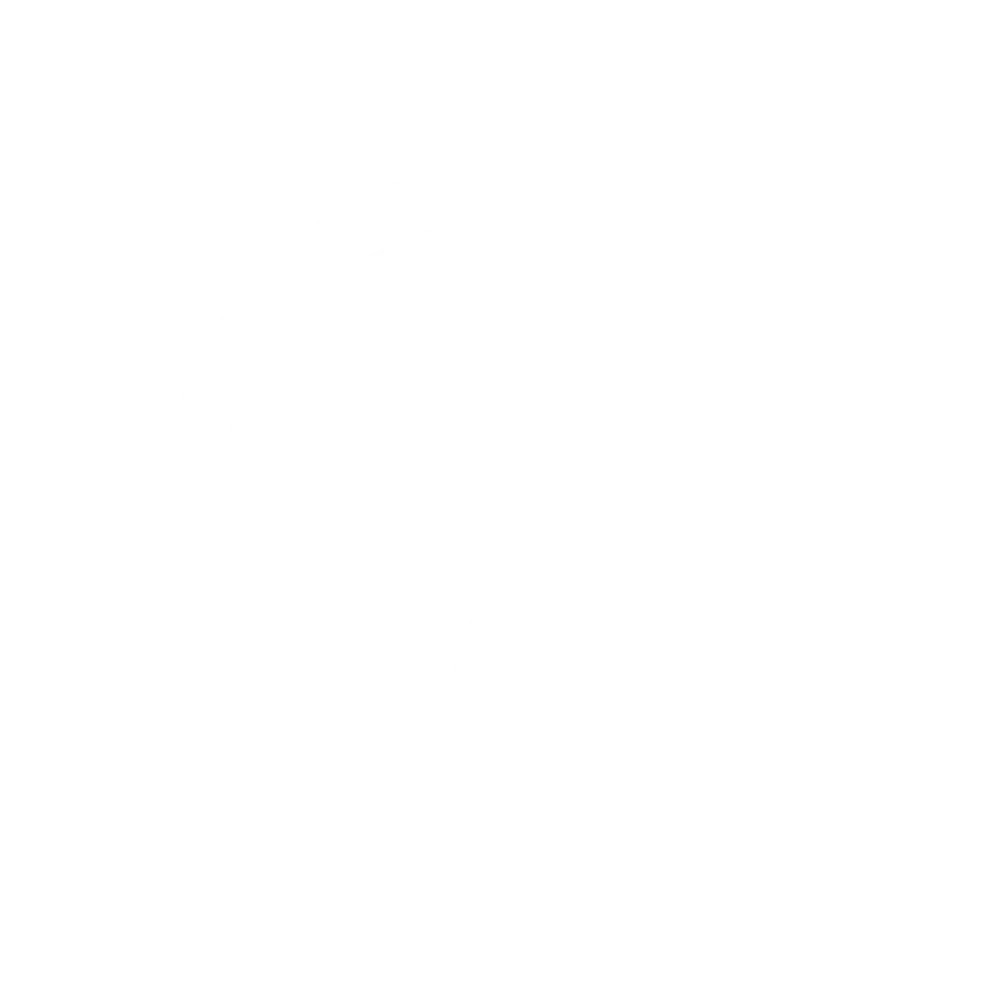 WordPress-logotype-wmark-white